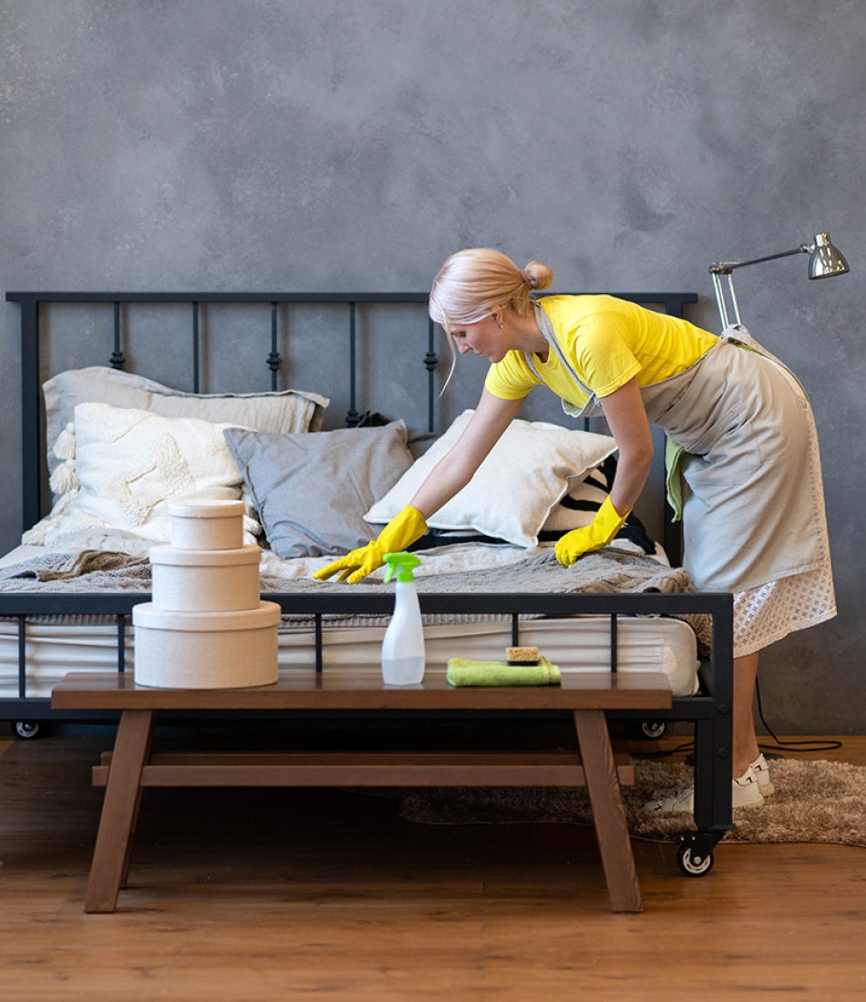 cleaning-service-professional-cleaning-of-apartme-2021-09-23-17-38-08-utc.jpg
